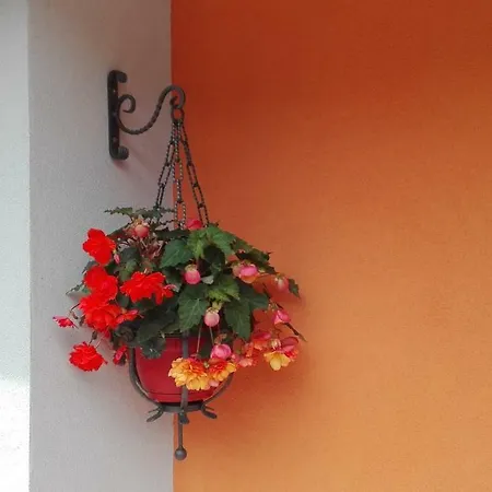 Il Giardino * Piantedo